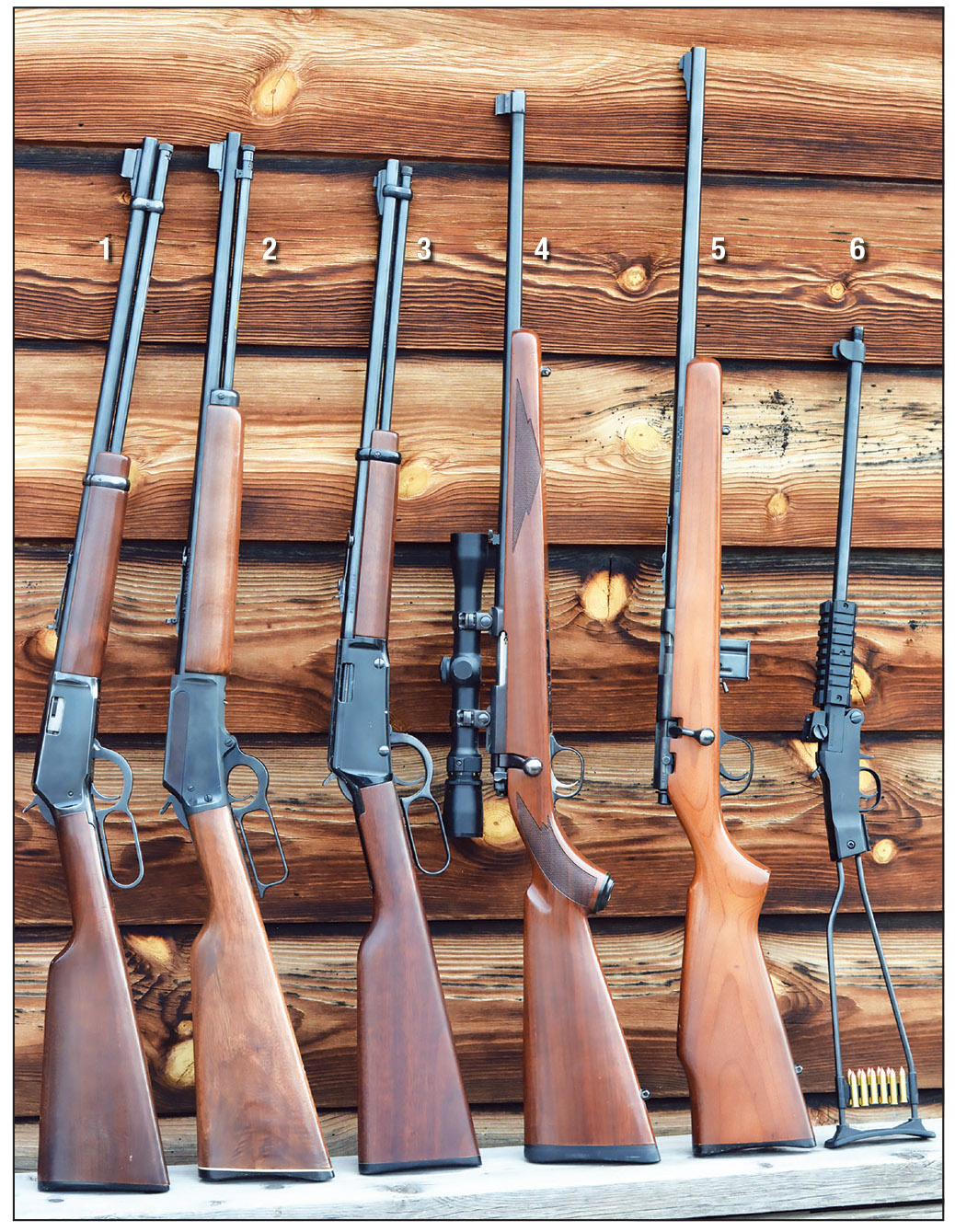 The 22 Magnum has been offered in many different rifles. A few examples include: (1) Winchester 9422M, (2) Marlin 1894M, (3) Henry Lever Action H001M, (4) Ruger 77/22, (5) Marlin 925M and (6) Chiappa Little Badger.